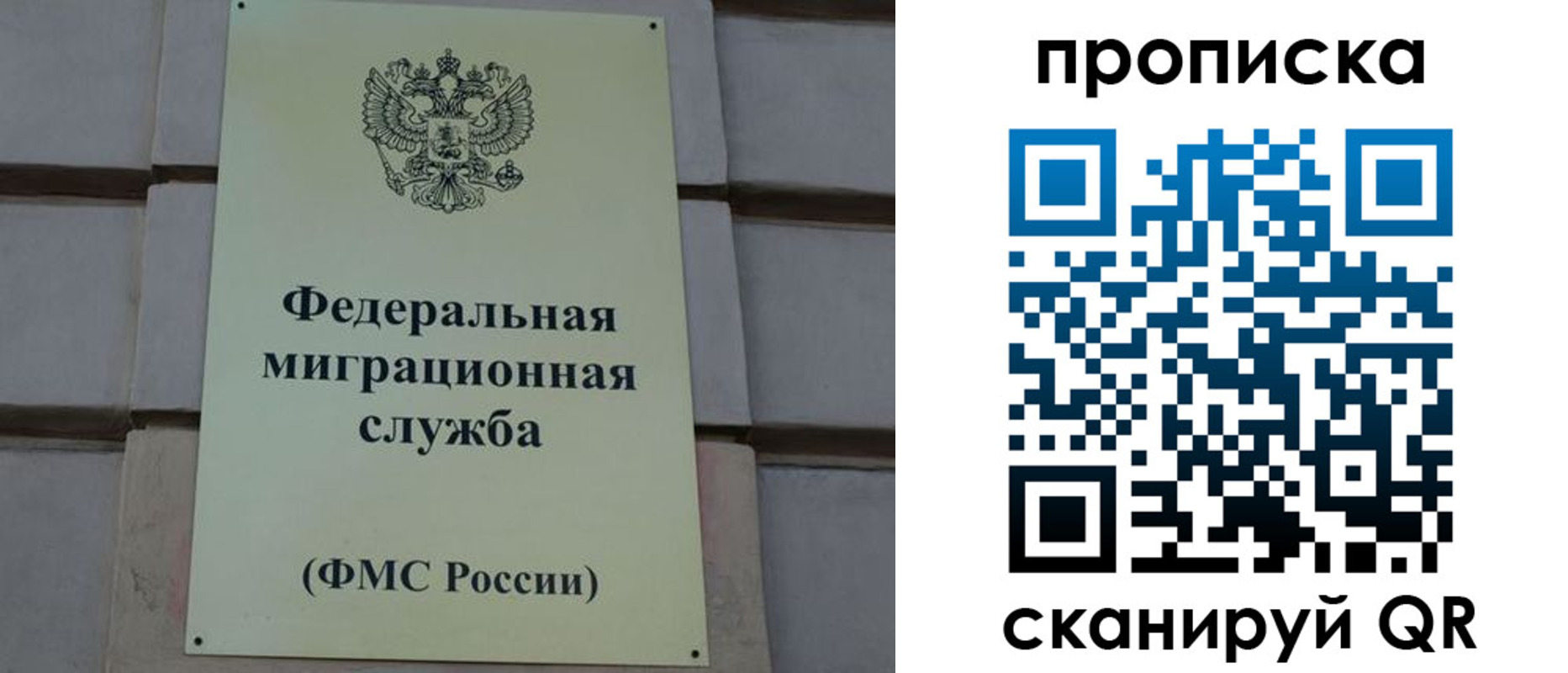 прописка поиск в Камчатской области